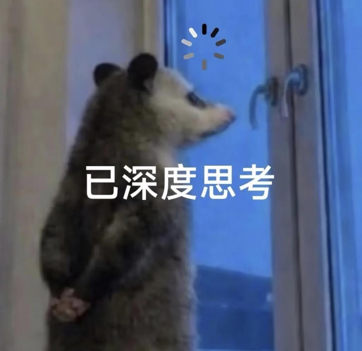 已深度思考