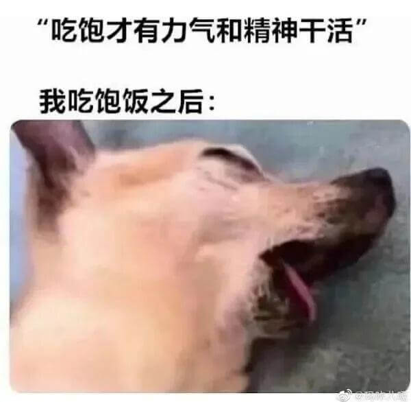 “吃饱才有力气和精神干活。”我吃饱饭之后：