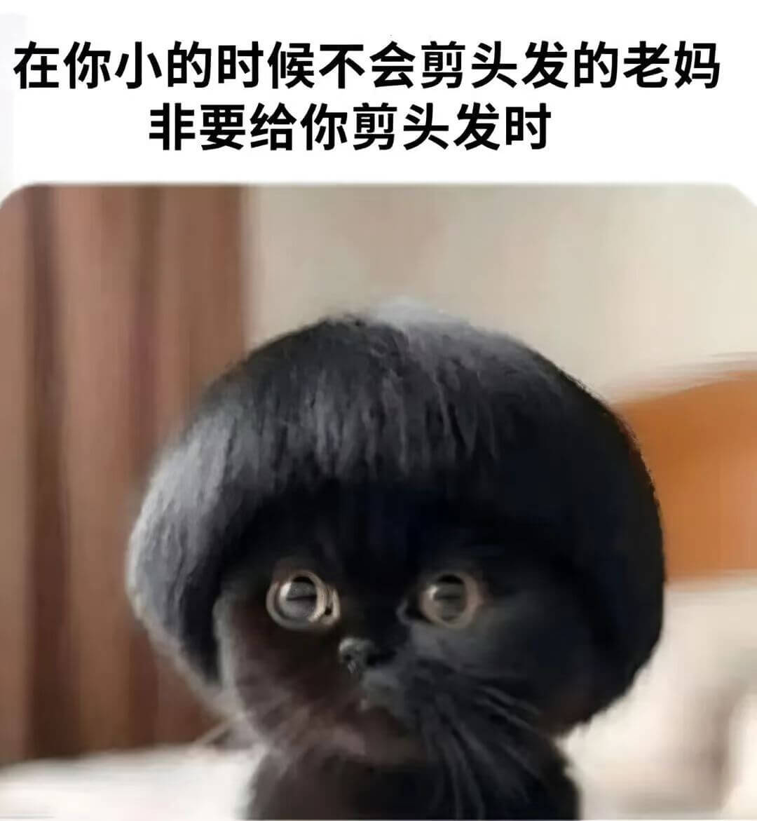在你小的时候，不会剪头发的老妈非要给你剪头发时