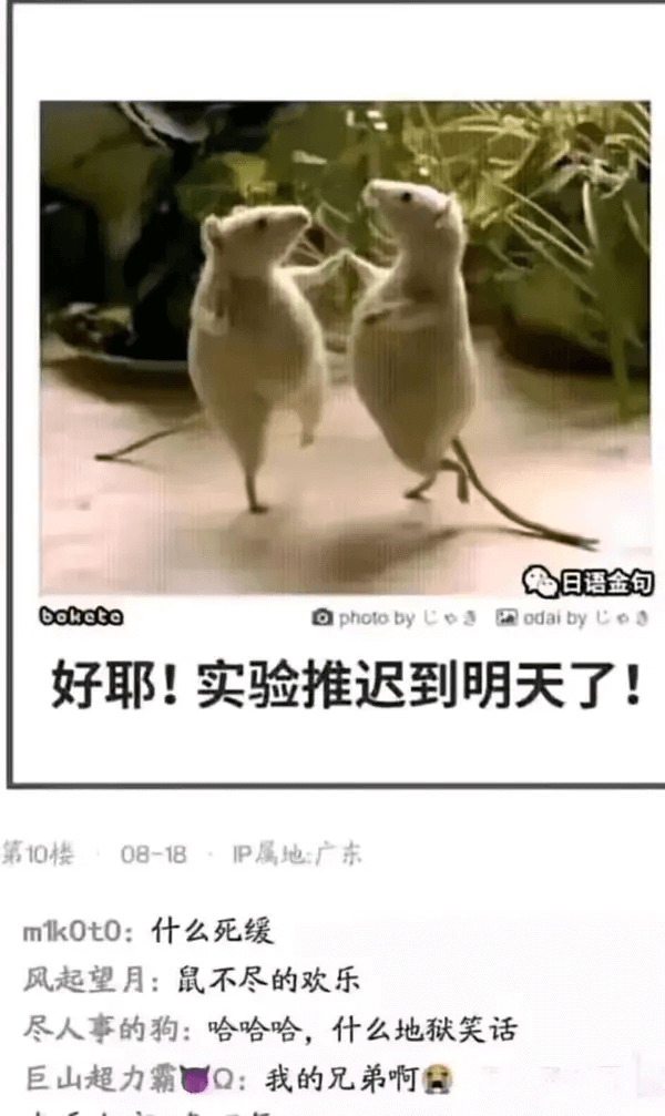 日语金句BohctoaphotobyUpaodaibyC好耶