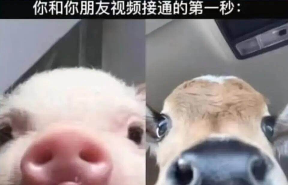 你和你朋发视频接通的第一秒：