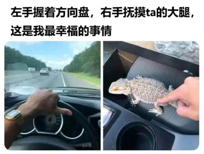 左手握着方向盘，右手抚摸ta的大腿这是我最幸福的事情