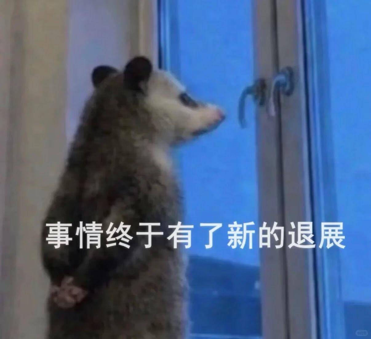 事情终于有了新的退展
