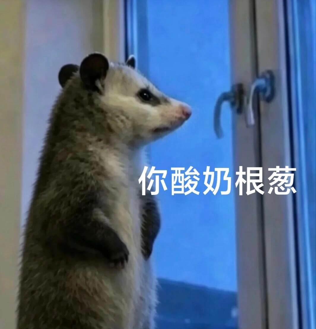 你酸奶根葱