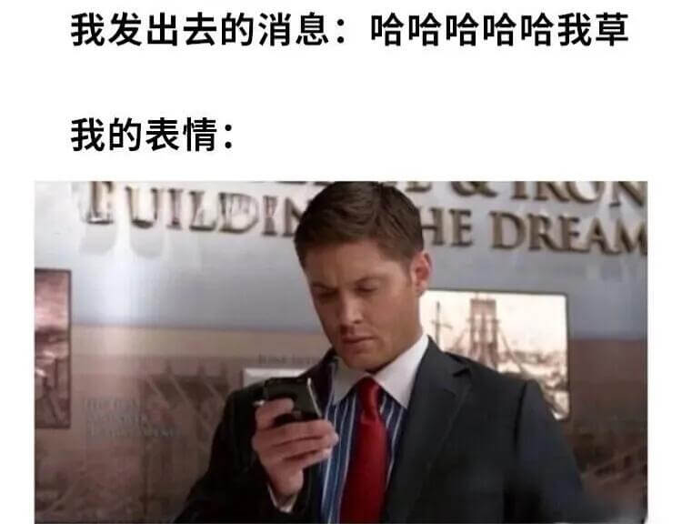我发出去的消息：哈哈哈哈哈我草我的表情：LUILDRNSNH