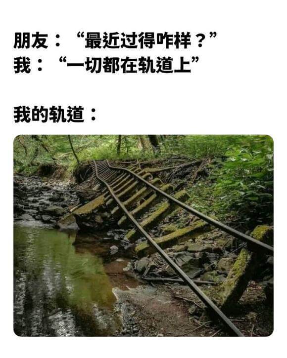 朋友：“最近过得咋样？”我：“一切都在轨道上”我的轨道：