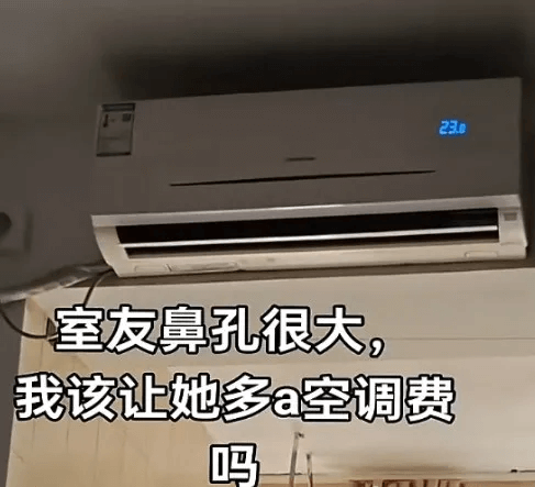 230室友鼻孔很大，我该让她多出空调费吗？