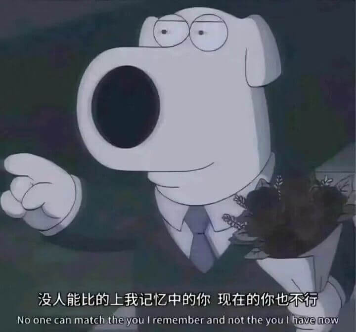 没人能比的上我记忆中的你现在的你也不行Noonecanmat