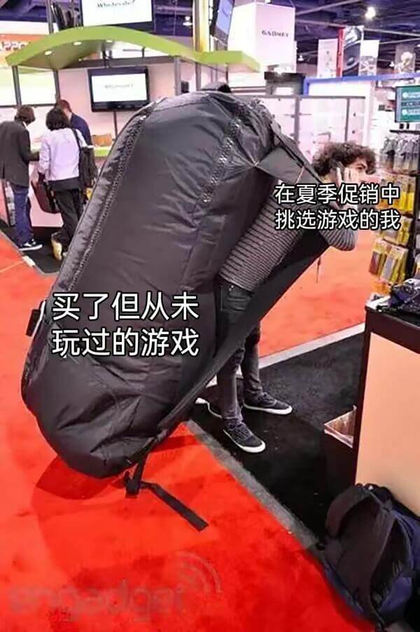 在夏季促销中挑选游戏的我买了但从未玩过的游戏