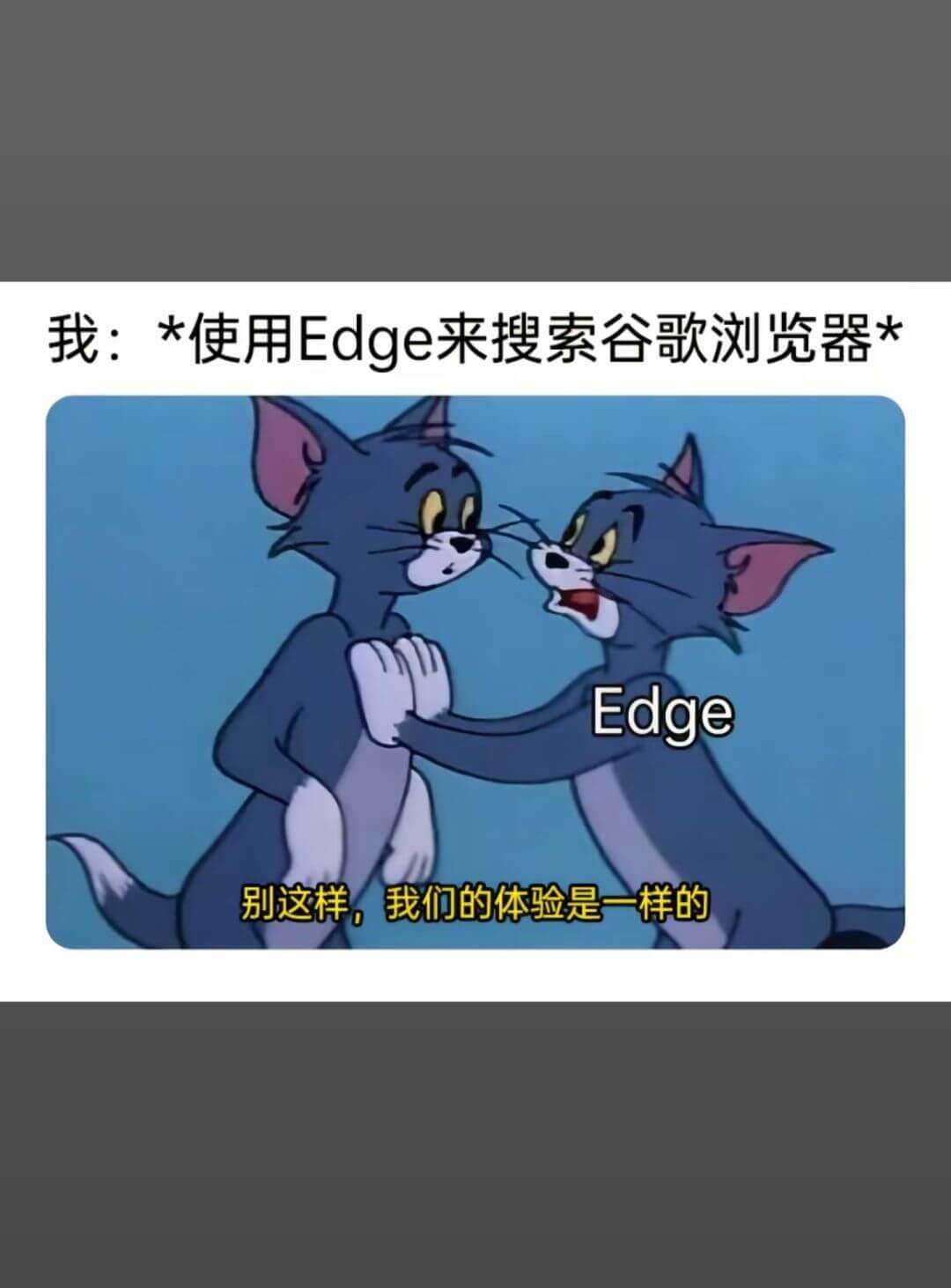 我：*使用Edge来搜索谷歌浏览器*Edge，别这样，我们的
