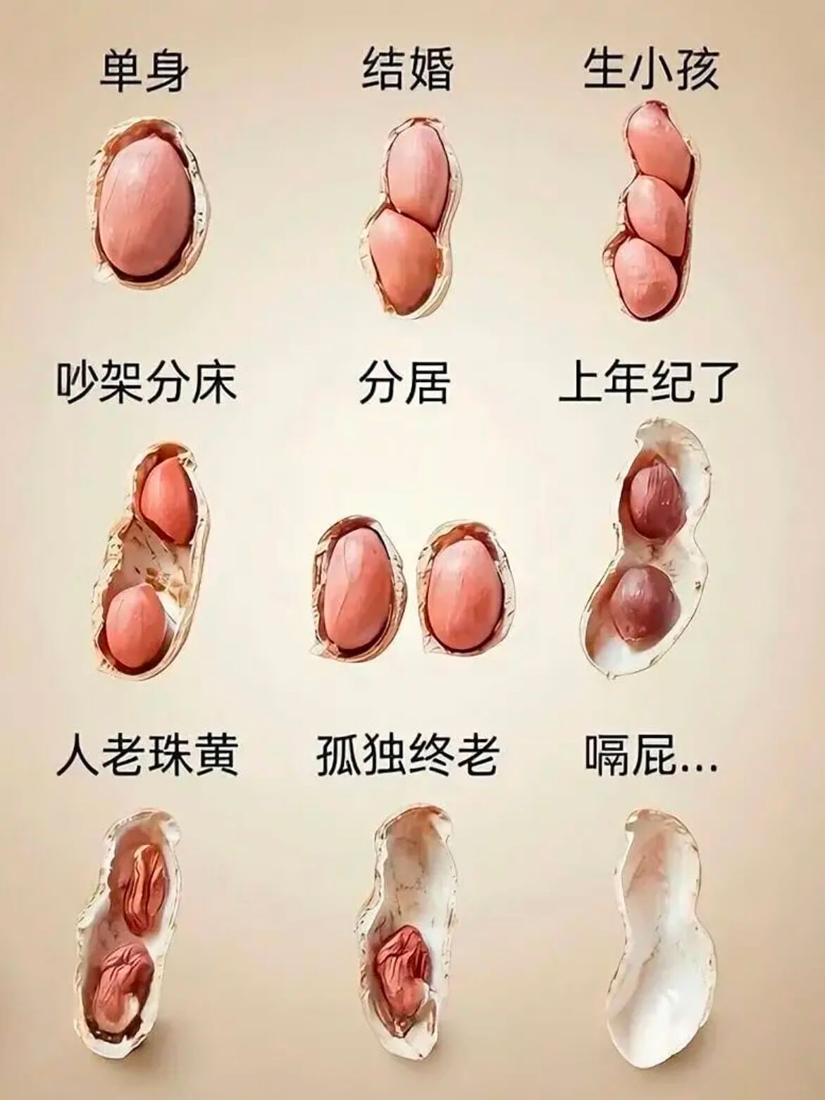 单身结婚生小孩吵架分床分居上年纪了人老珠黄孤独终老糟粕