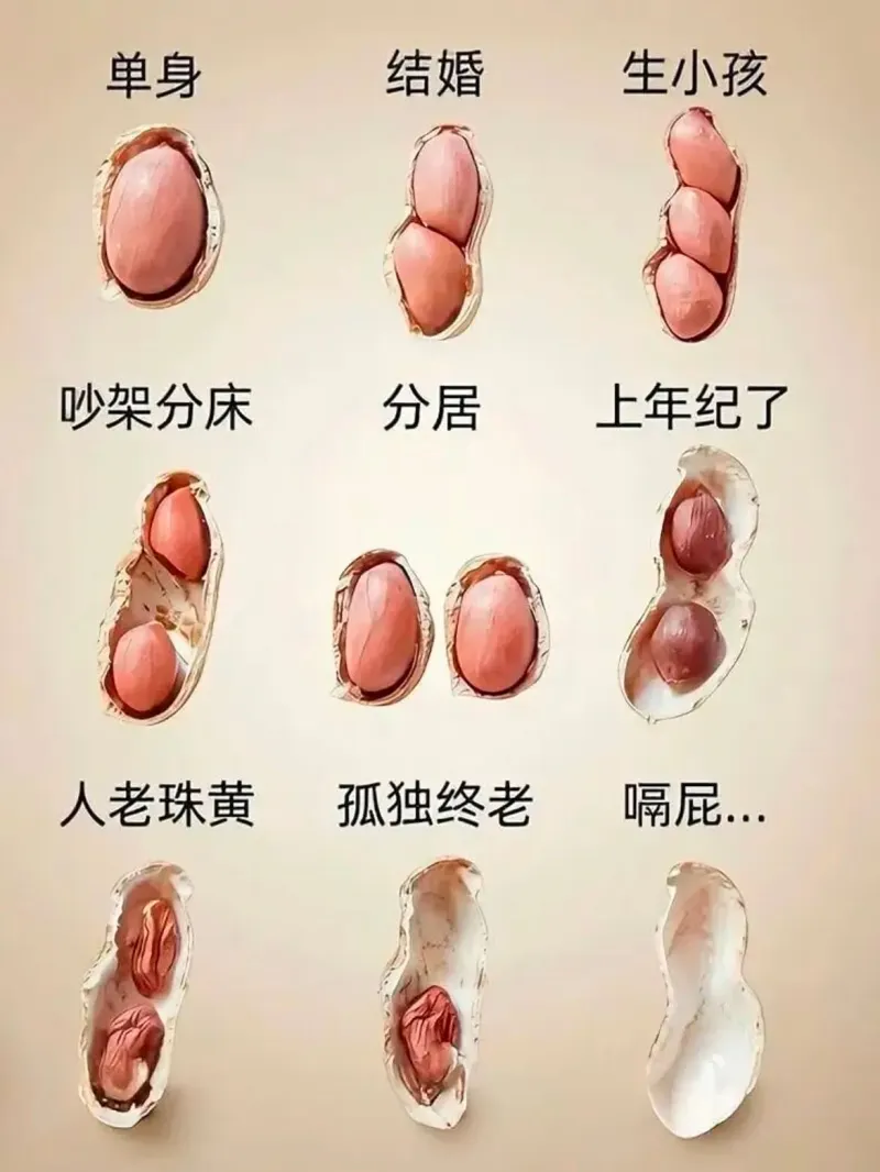 单身结婚生小孩吵架分床分居上年纪了人老珠黄孤独终老糟粕