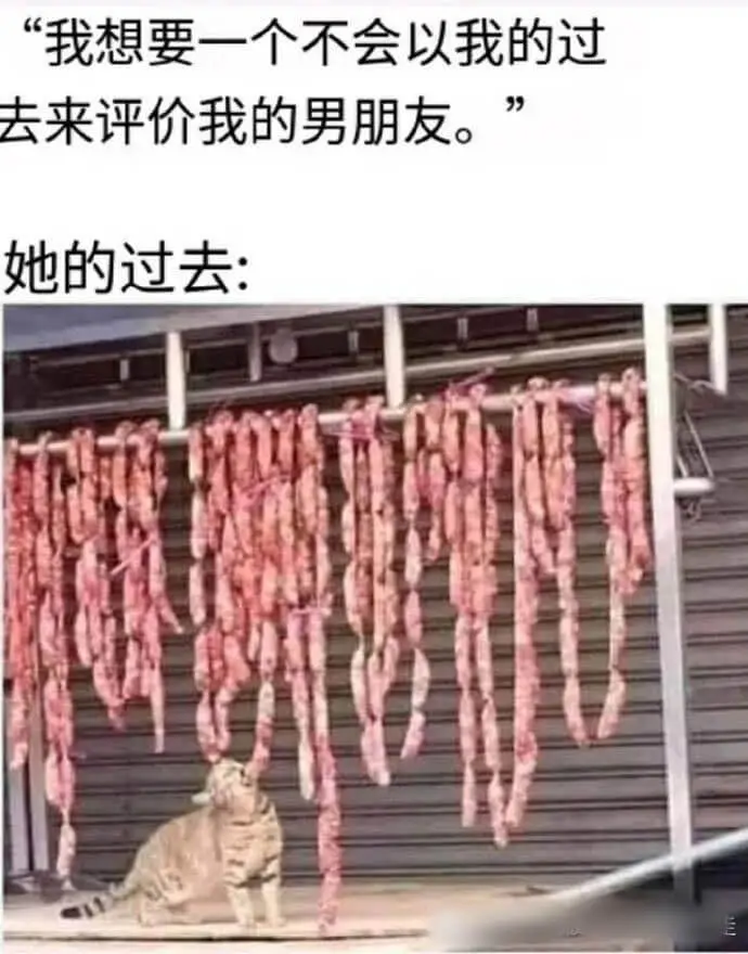 我想要一个不会以我的过去来评价我的男朋友。她的过去：99