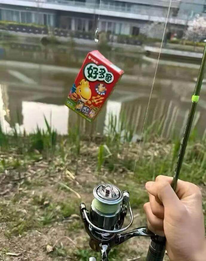 好多鱼