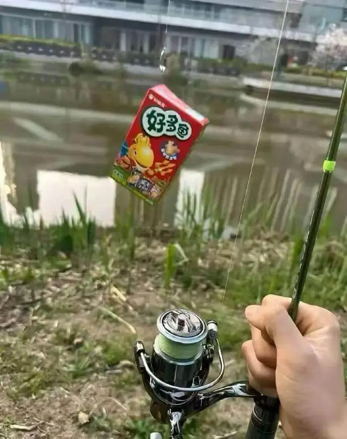 好多鱼