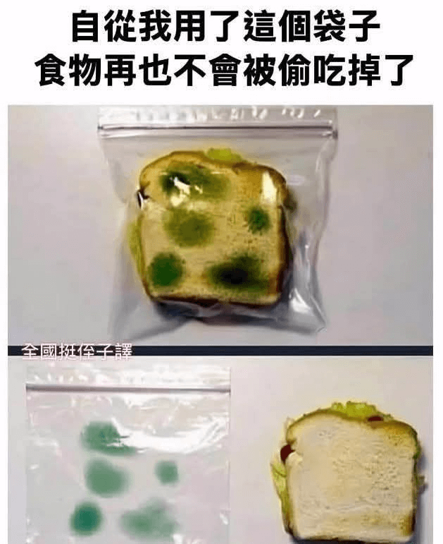 自诞我用了这个袋子，食物再也不会被偷吃掉了。