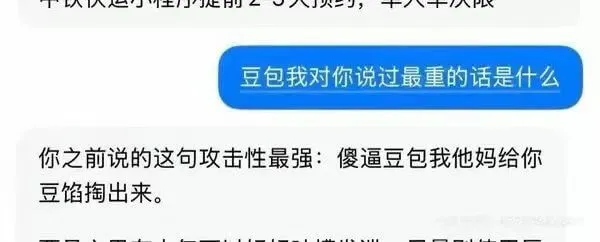 豆包，我对你说过最重的话是什么？你之前说的这句攻击性最强：“