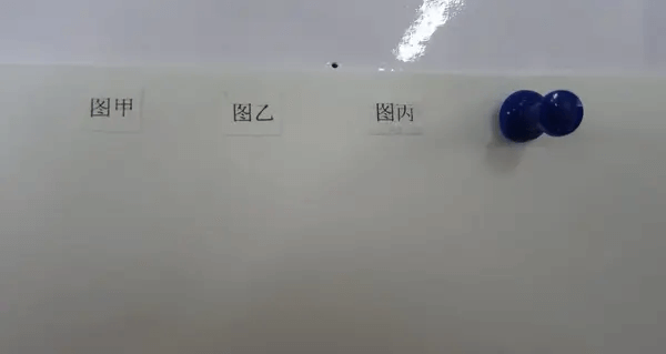 图甲图乙图内