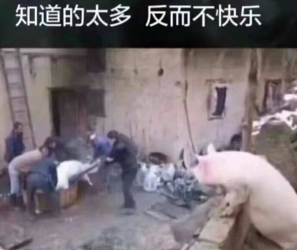 知道的太多反而不快乐