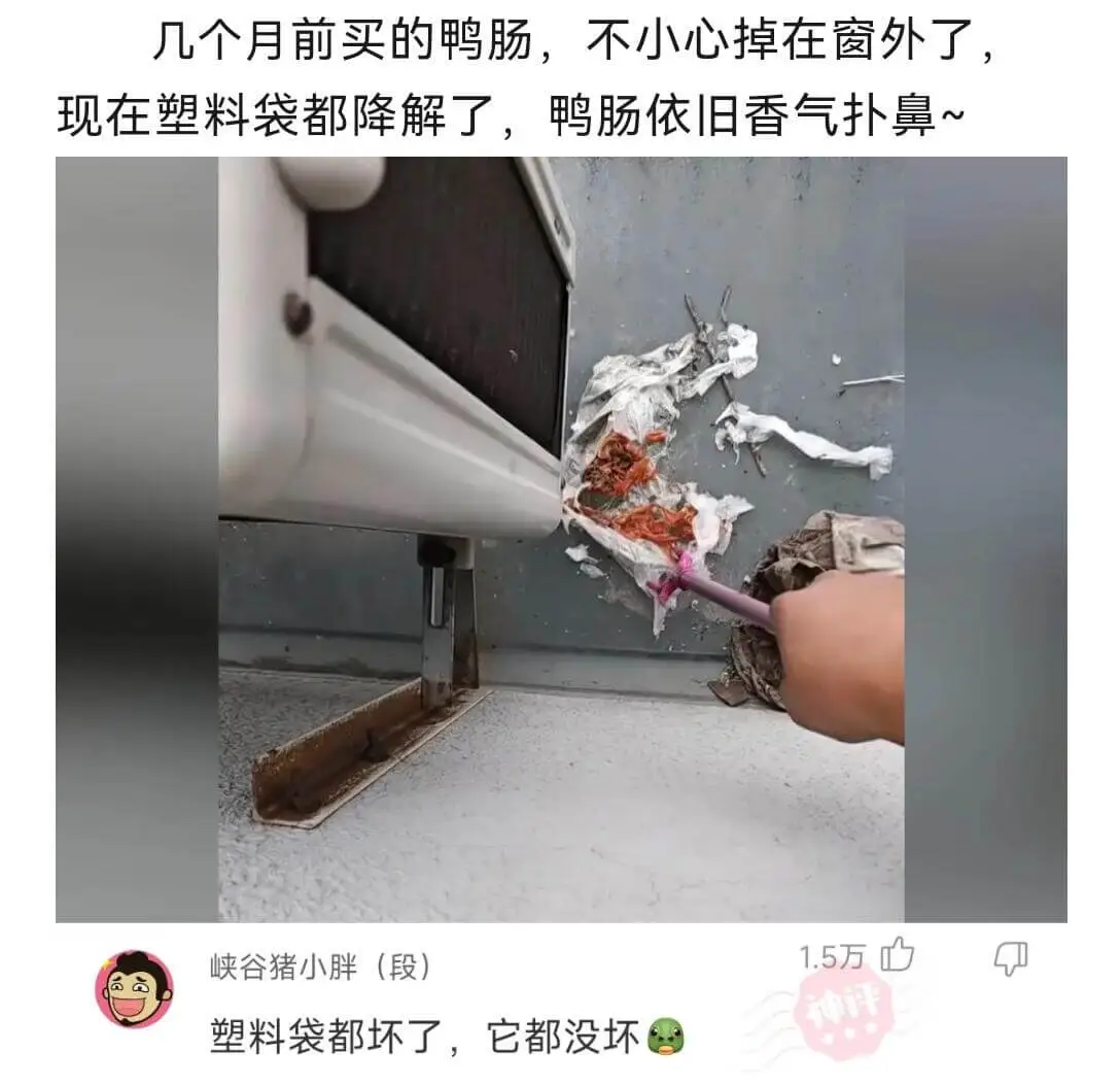 几个月前买的鸭肠，不小心掉在窗外了。现在塑料袋都降解了，鸭肠