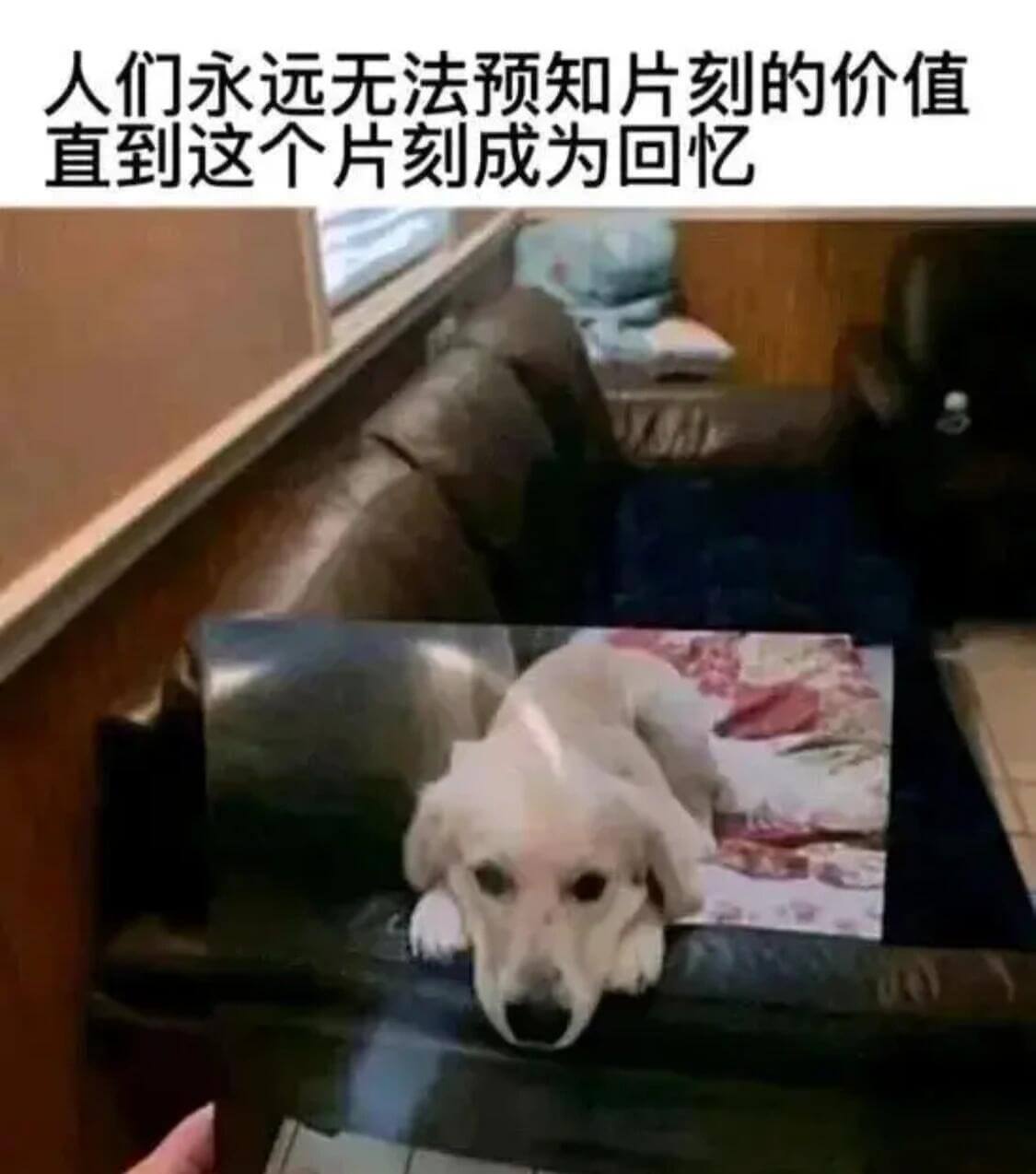 人们永远无法预知片刻的价值直到这个片刻成为回忆