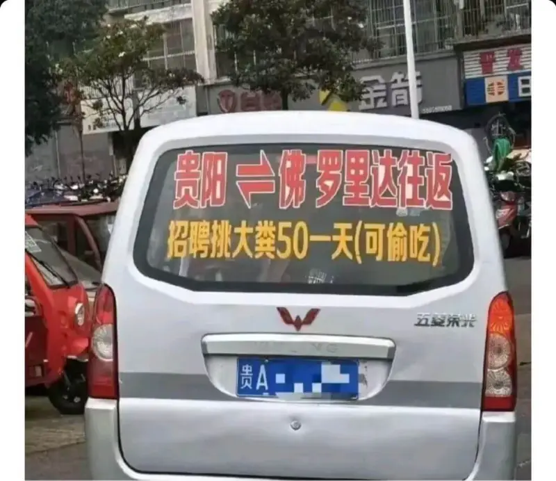 发金告贵阳一佛罗里达往返招聘挑大粪50一天（可偷吃）五菱东光