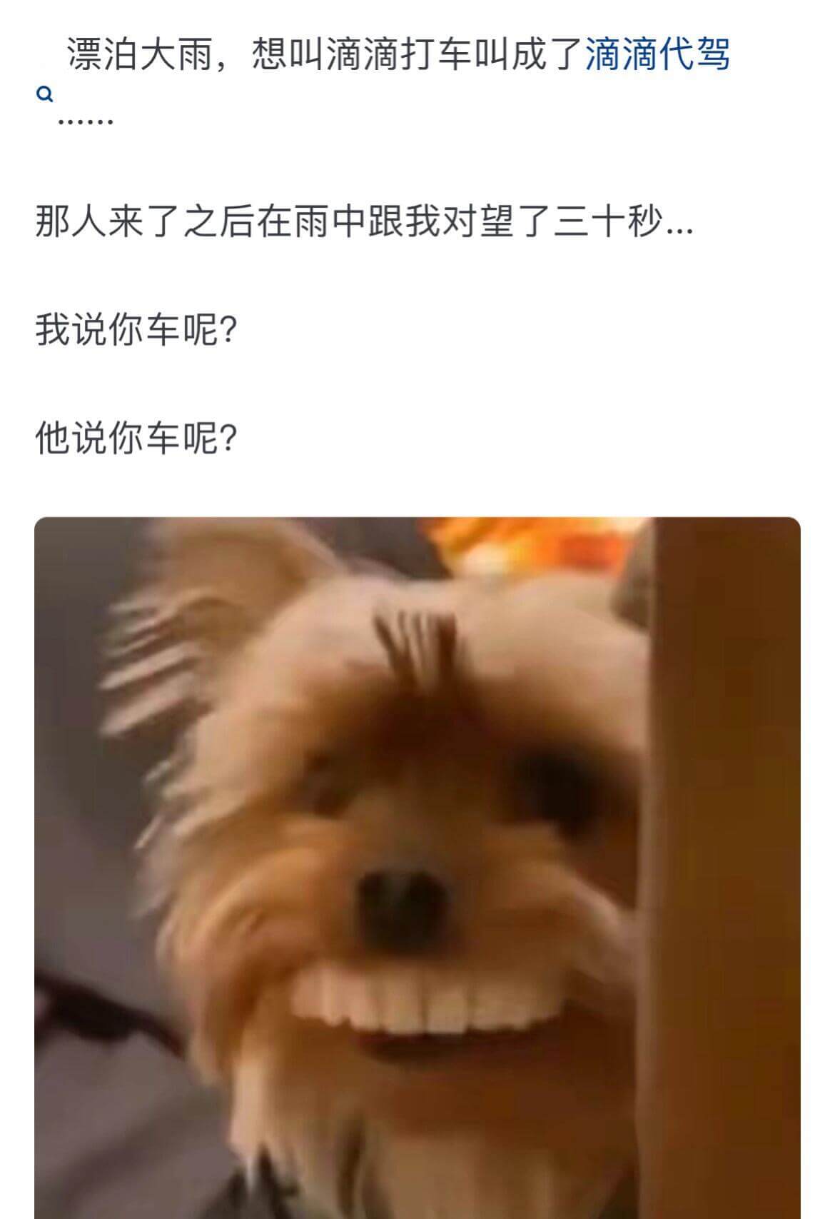 漂泊大雨，想叫滴滴打车叫成了滴滴代驾。那人来了之后，在雨中跟
