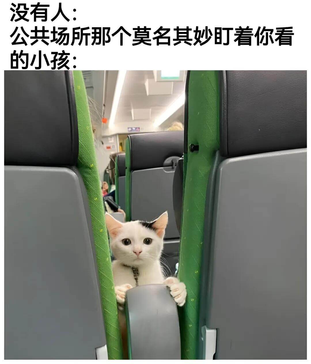 没有人：公共场所那个莫名其妙盯着你看的小孩：