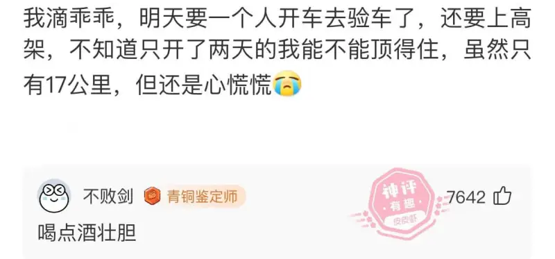 我滴乖乖，明天要一个人开车去验车了，还要上高架，不知道只开了
