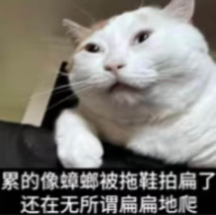 累的像蟑螂被拖鞋拍扁了，还在无所谓地扁扁地爬。