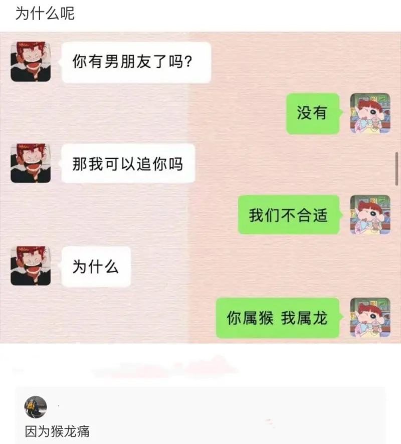 你有男朋友了吗?没有那我可以追你吗我们不合适为什么你属猴我属