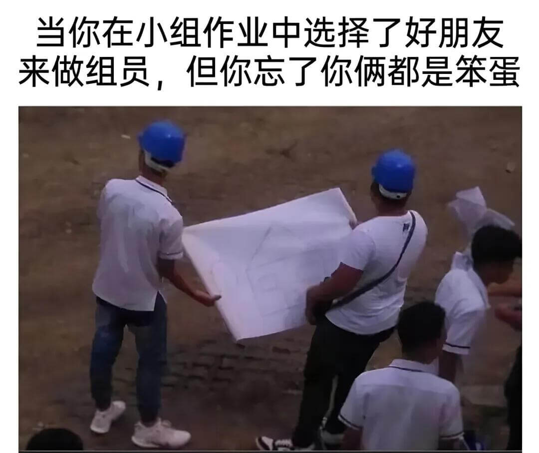 当你在小组作业中选择了好朋友来做组员，但你忘了你俩都是笨蛋