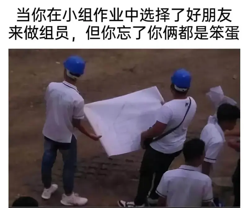 当你在小组作业中选择了好朋友来做组员，但你忘了你俩都是笨蛋