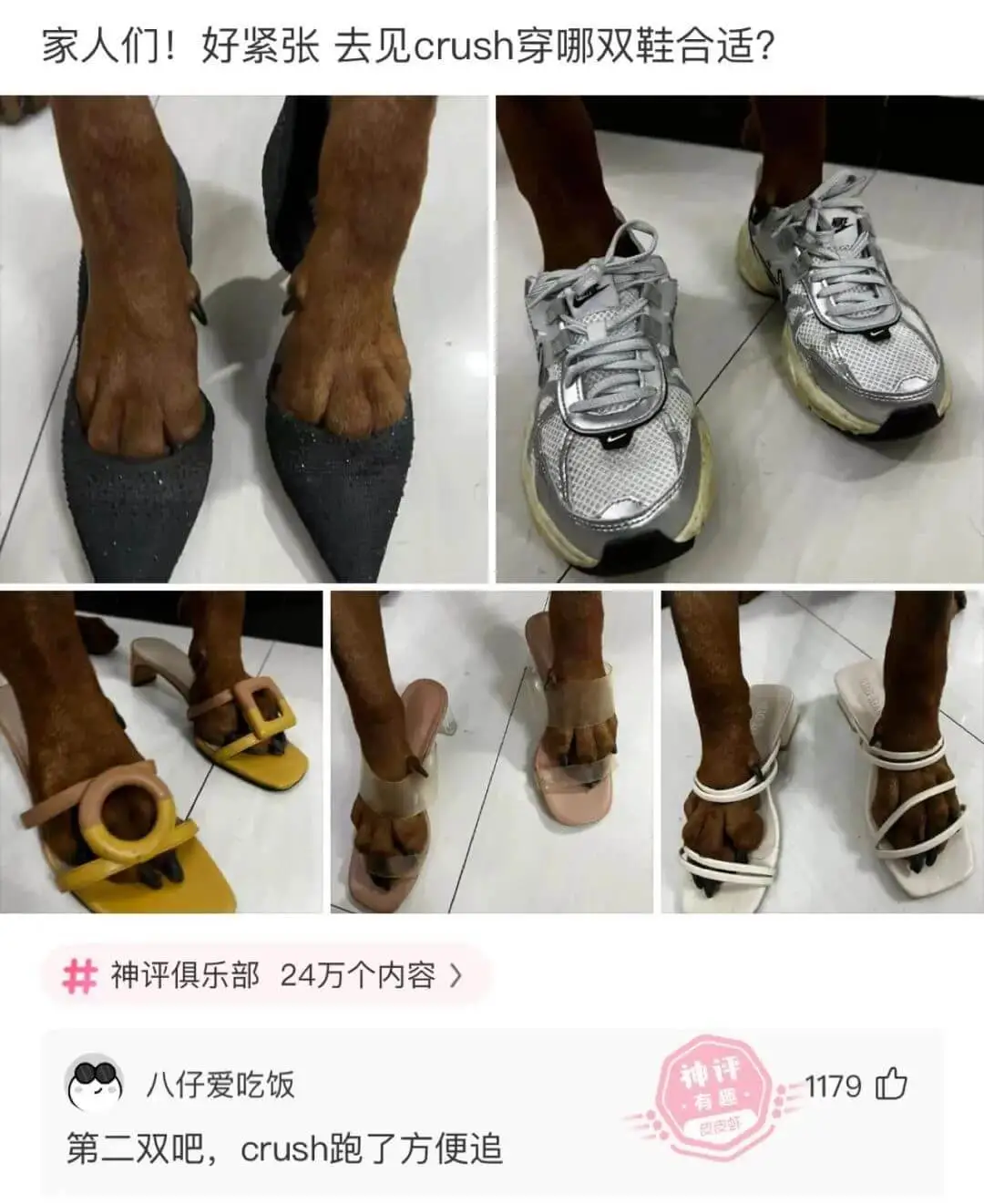 家人们！好紧张去见crush穿哪双鞋合适？开神评俱乐部24万
