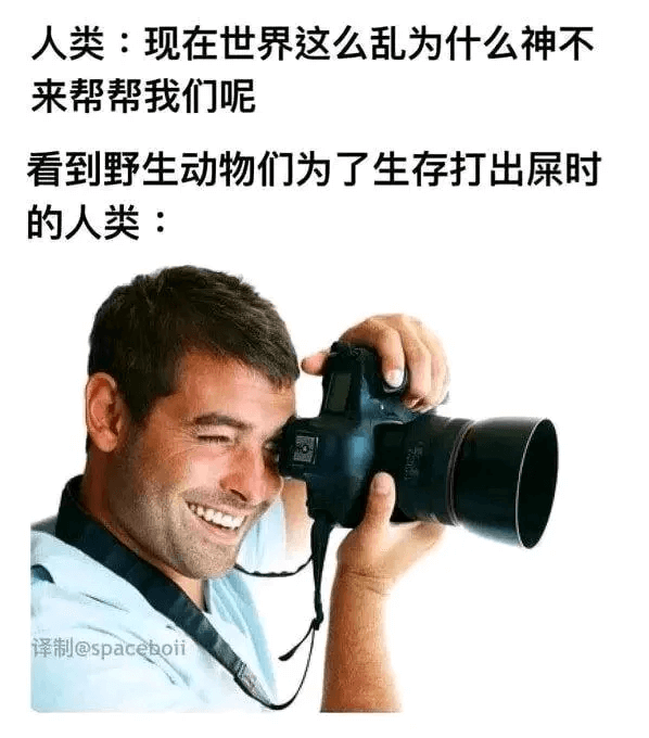 人类：现在世界这么乱，为什么神不来帮帮我们呢？看到野生动物们