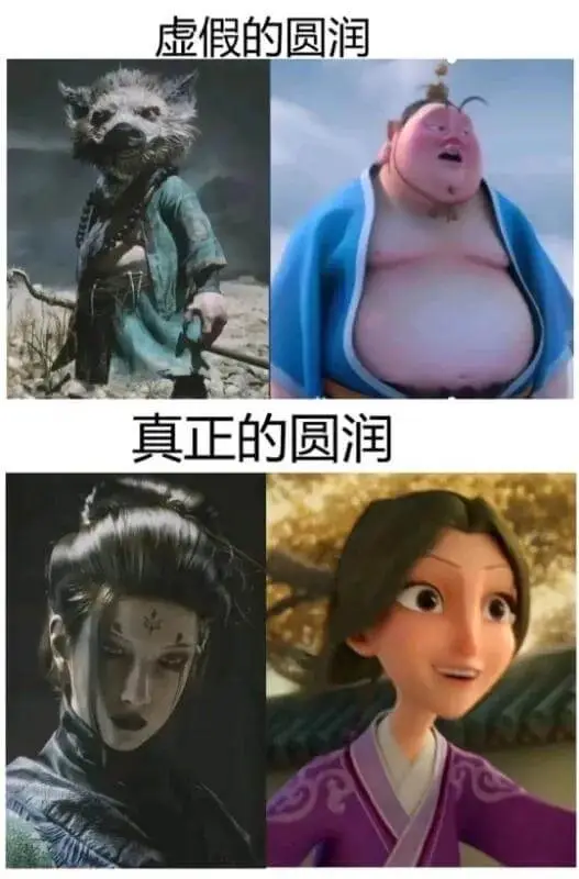 虚假的圆润真正的圆润