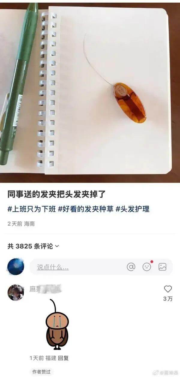 同事送的发夹把头发夹掉了上班只为下班——好看的发夹种草&头发