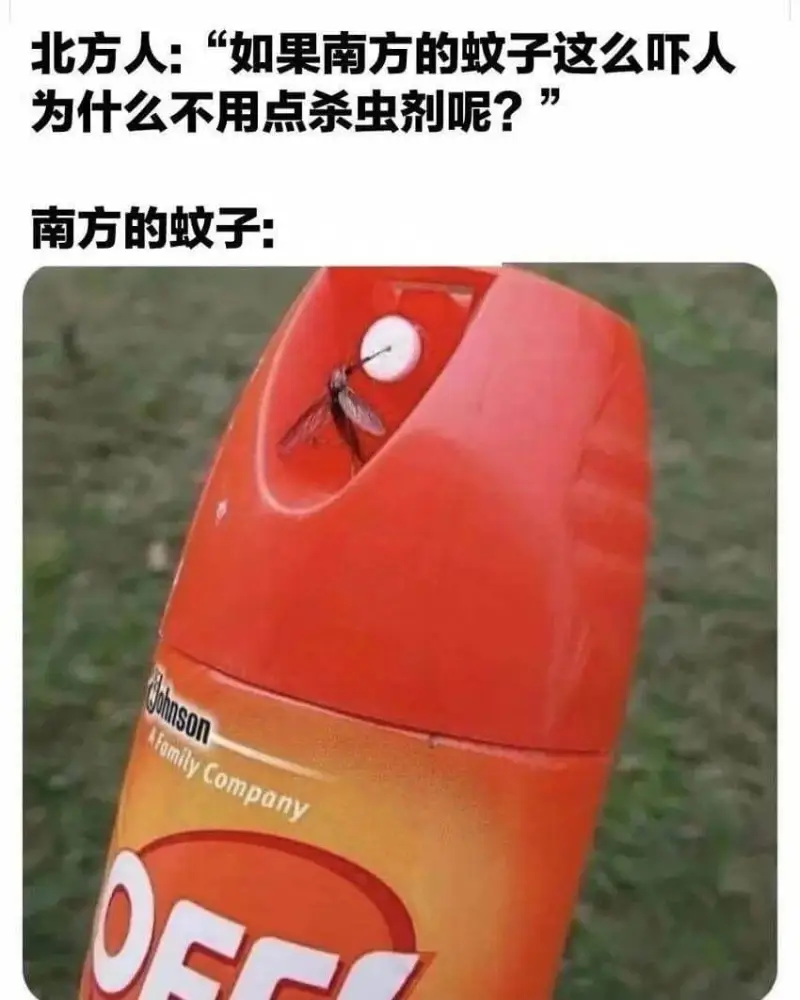 北方人：“如果南方的蚊子这么吓人，为什么不用点杀虫剂呢？”南