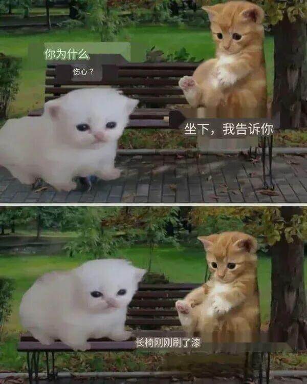 你为什么伤心？坐下，我告诉你。长椅刚刚刷了漆。