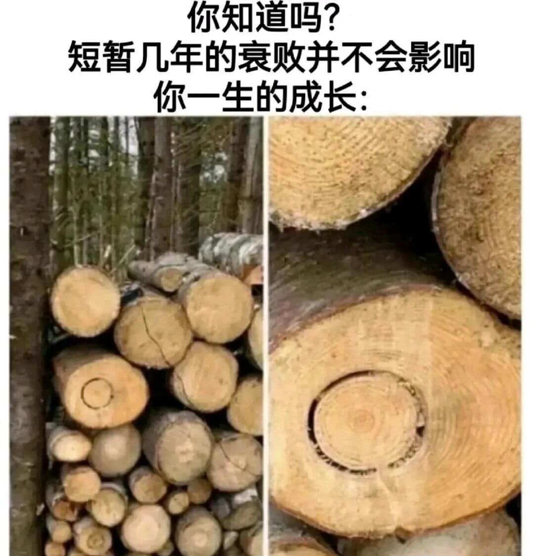 你知道吗?短暂几年的衰败并不会影响你一生的成长: