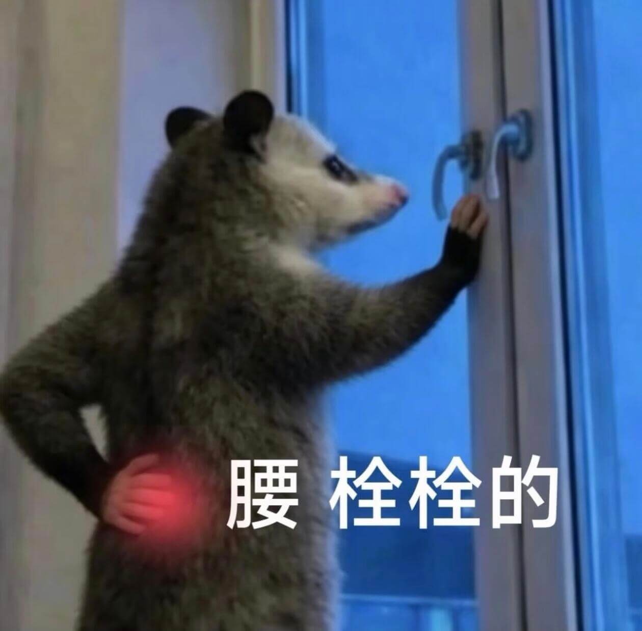 腰栓栓的