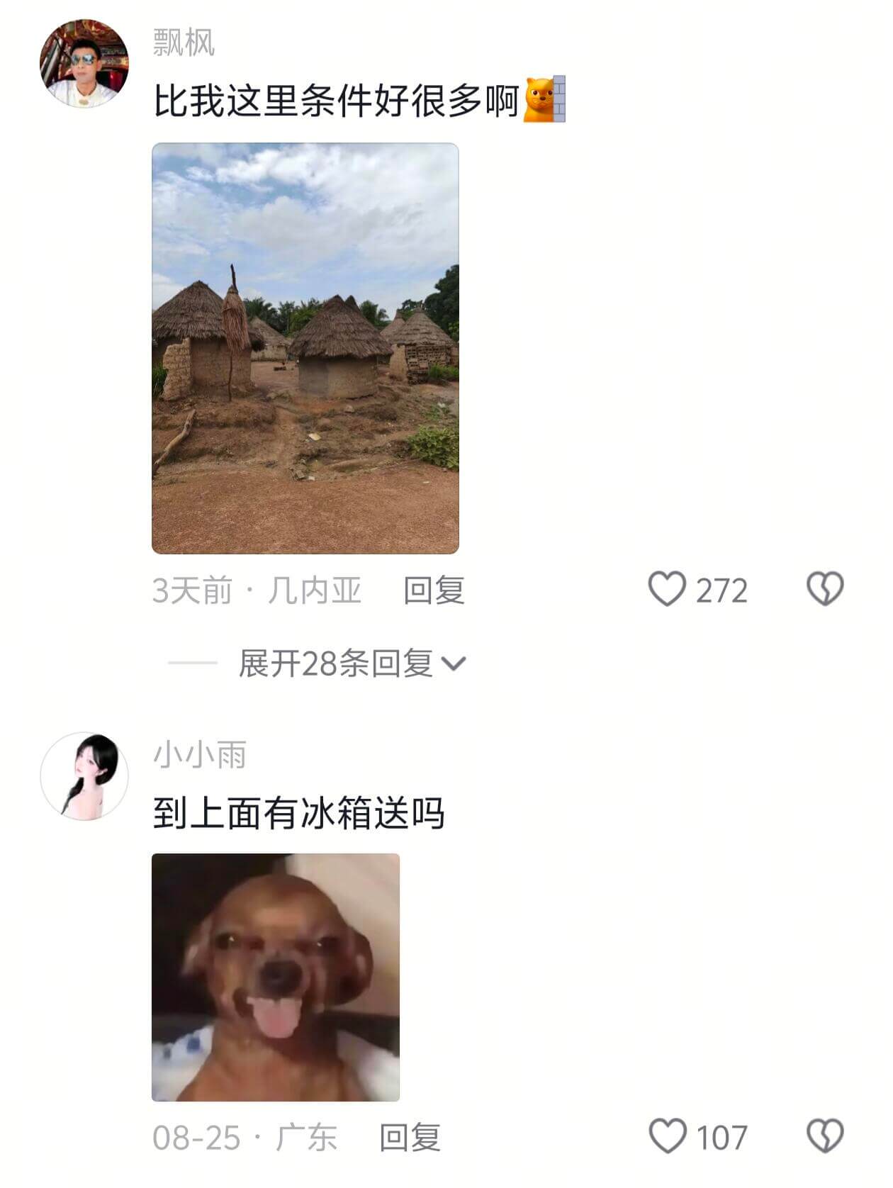 飘枫比我这里条件好很多啊回复02723天前·几内亚展开28条