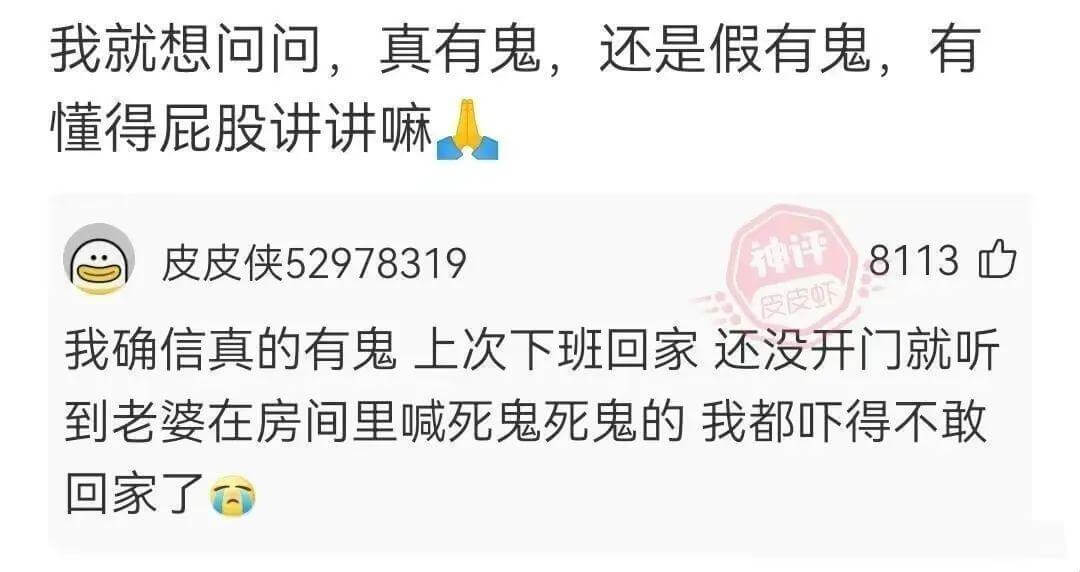 我就想问问，真有鬼，还是假有鬼，有懂得屁股讲讲嘛皮皮侠529