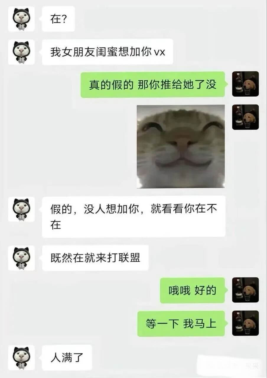 在？我女朋友闺蜜想加你vx。真的假的？那你推给她了没？假的，