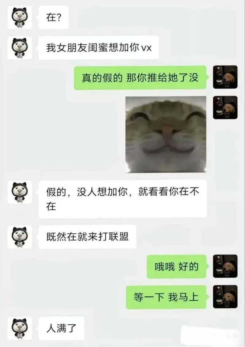 在？我女朋友闺蜜想加你vx。真的假的？那你推给她了没？假的，