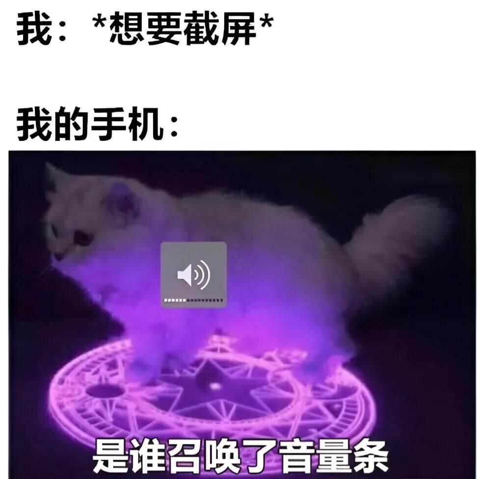 我：*想要截屏我的手机：是谁召唤了音量条