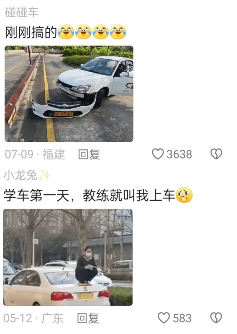 碰碰车刚刚搞的T8968707-09·福建回复3638小龙兔
