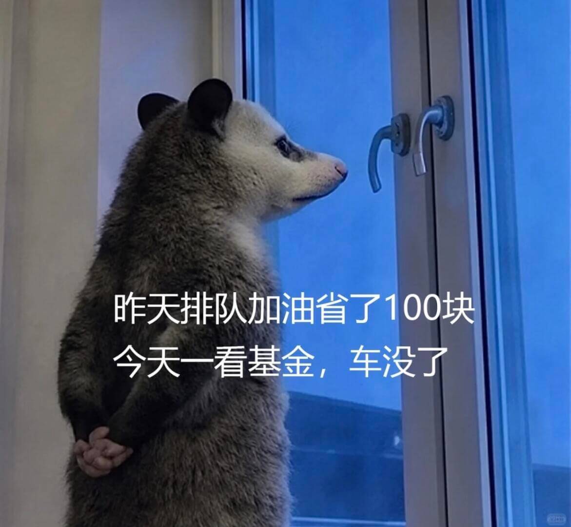 昨天排队加油省了100块，今天一看基金，车没了。