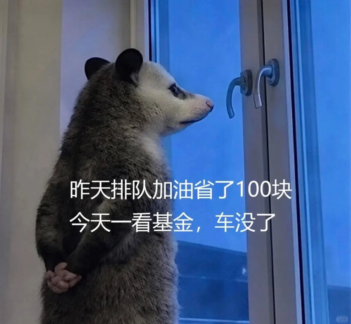 昨天排队加油省了100块，今天一看基金，车没了。