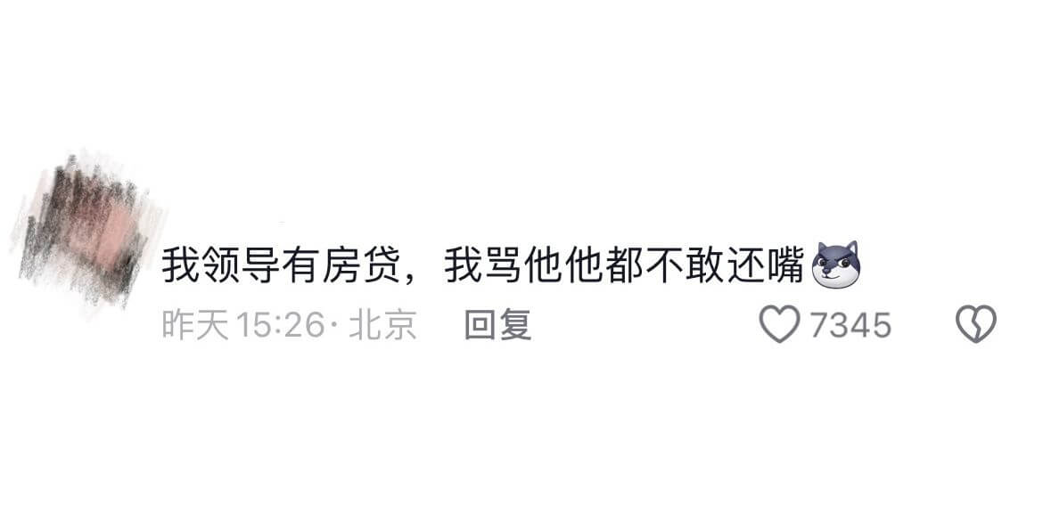我领导有房贷，我骂他他都不敢还嘴昨天15:26·北京回复73